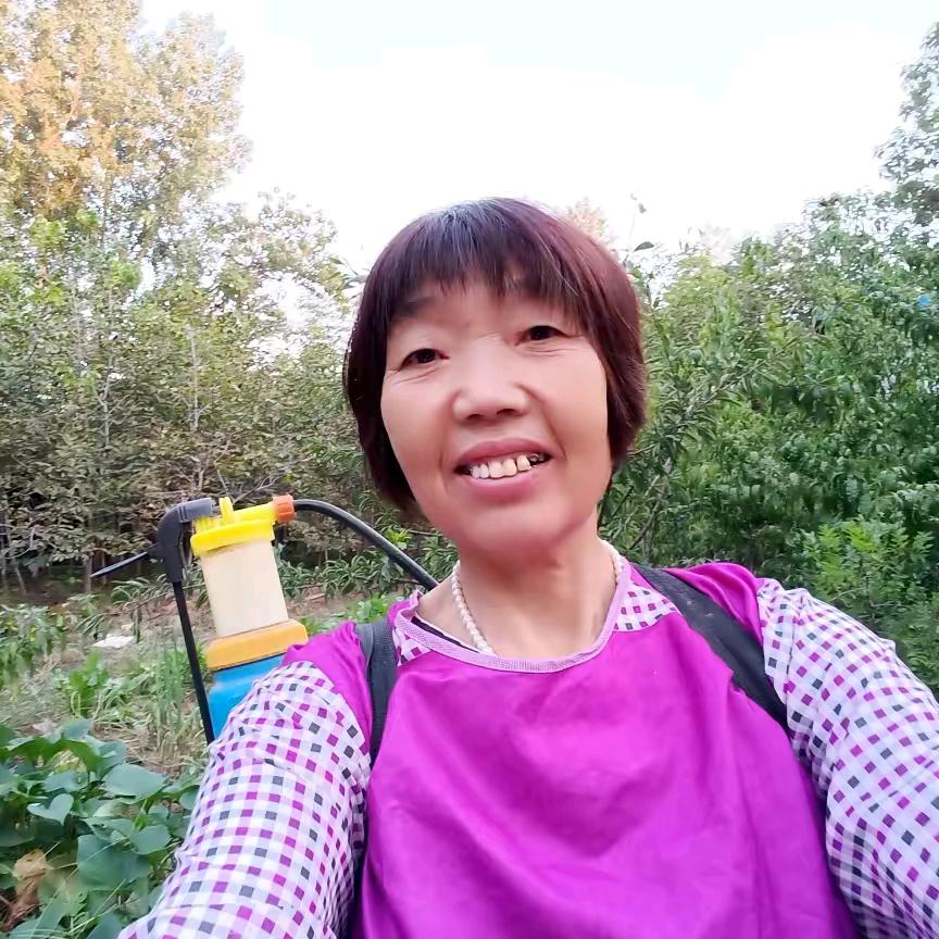 感恩姐，小号早上5点10分