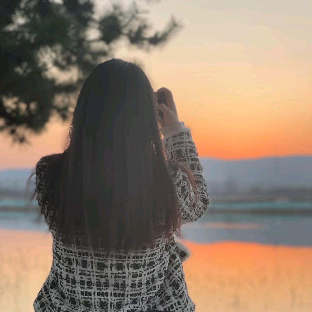 冰糖雪梨🦈🦁