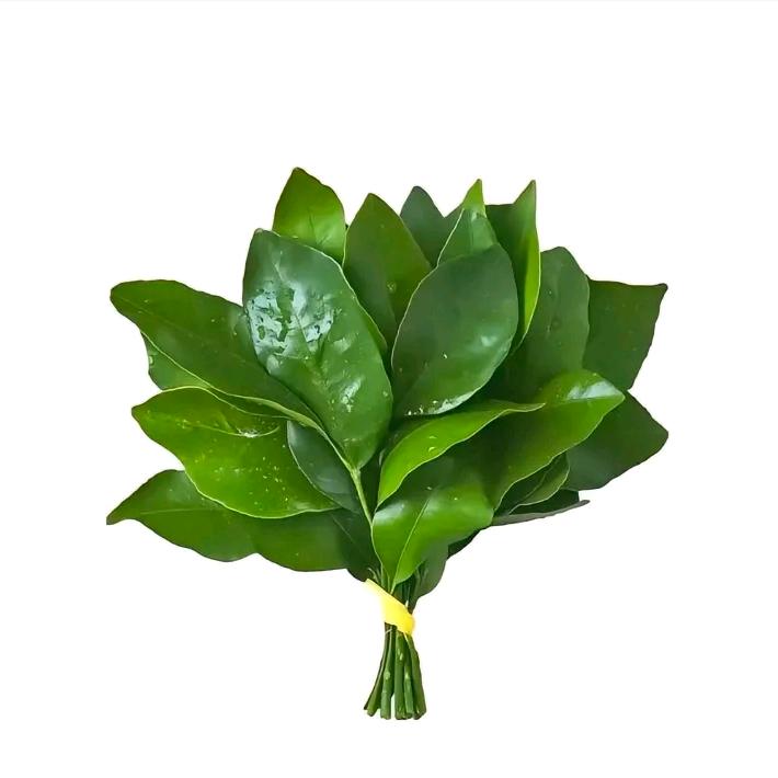爱吃香菜