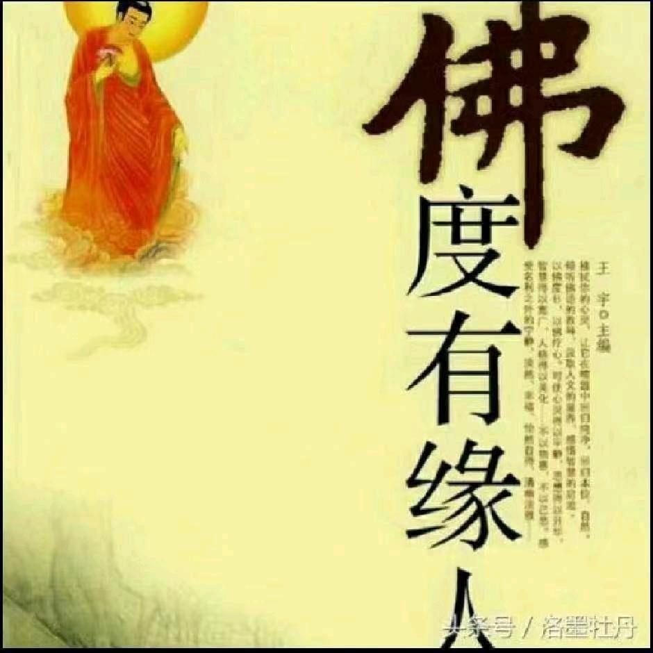 郭郭1843612921