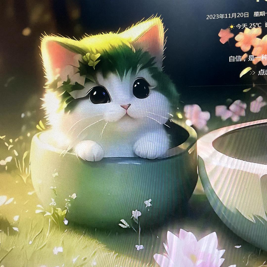 咪妮💞