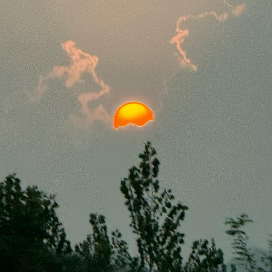 一只丘比特（红娘）