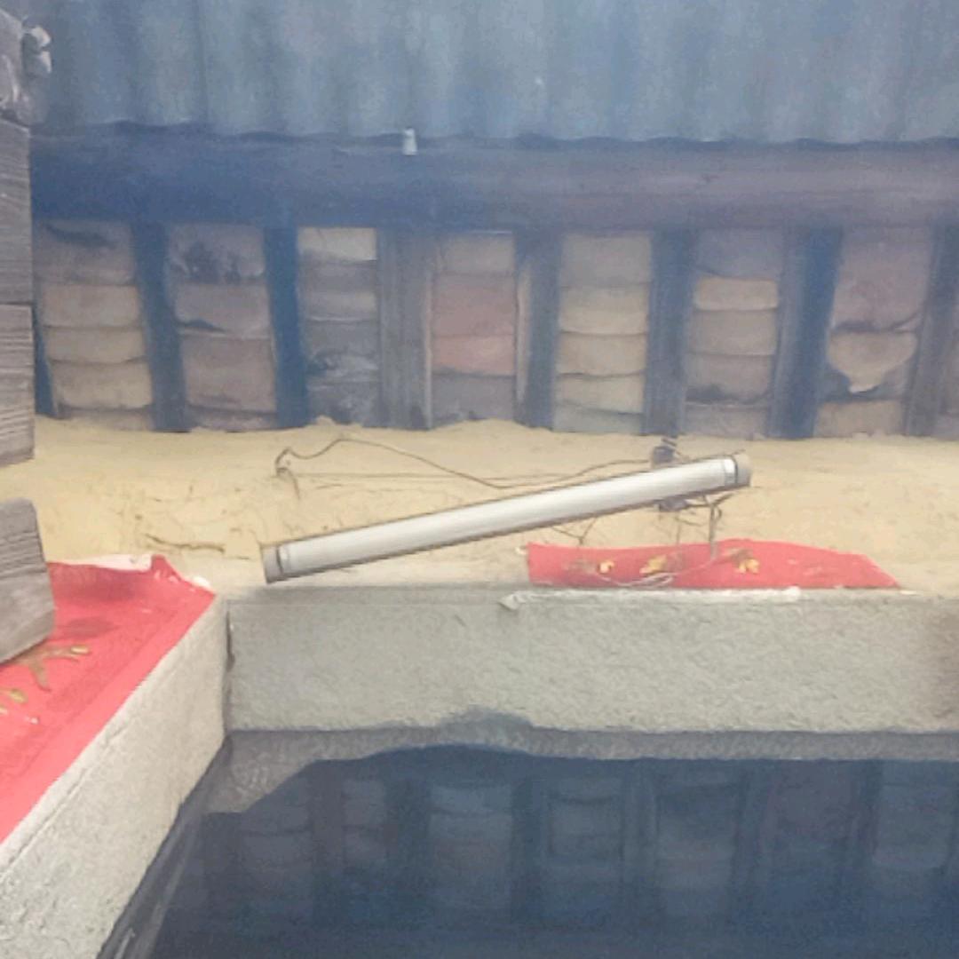 @常山徐氏家族，端裕茶庄