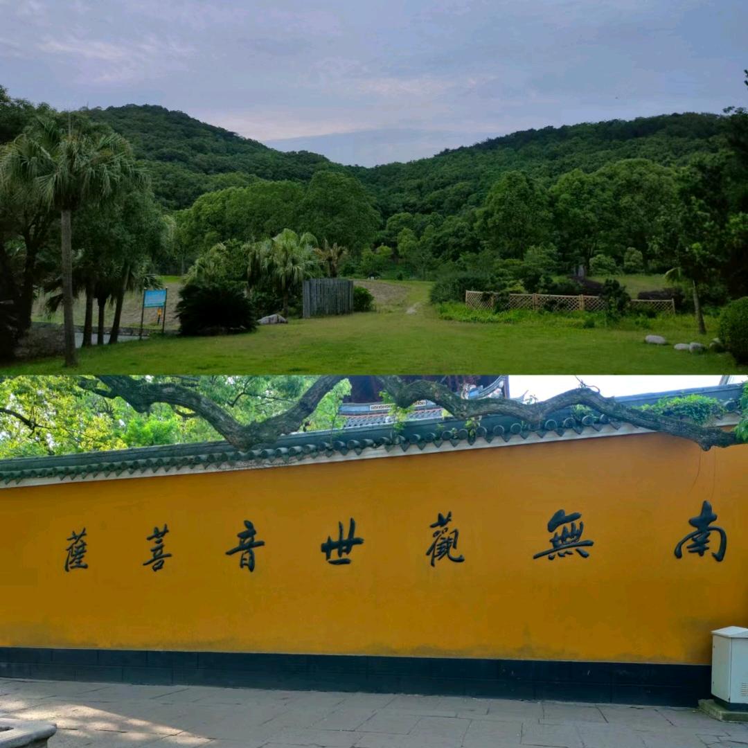 小田——榴莲兄弟嘉兴海广兴