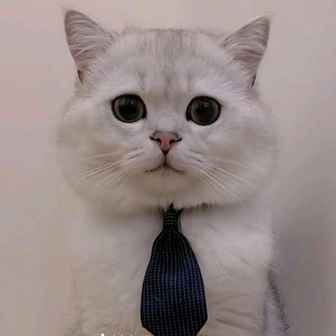 @陈天明