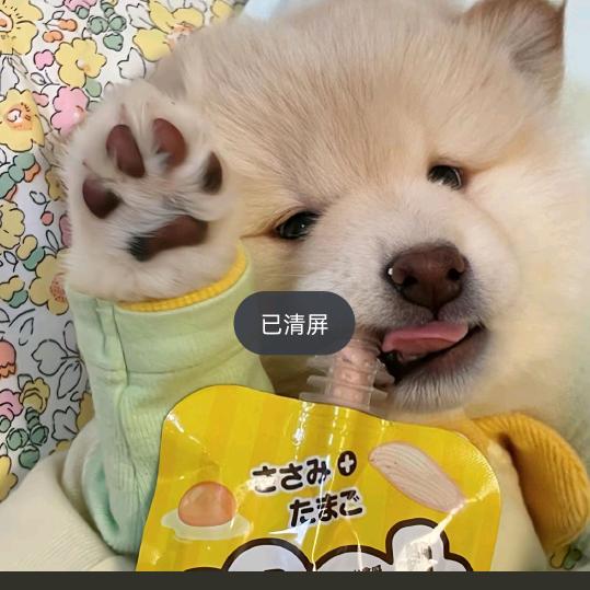 家中有萌宠