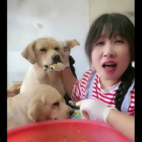 姥姥的快乐生活