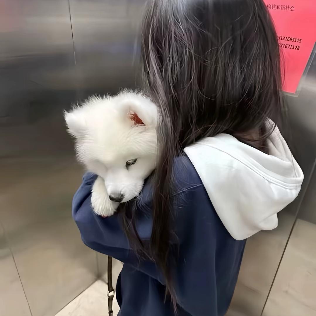 初见.