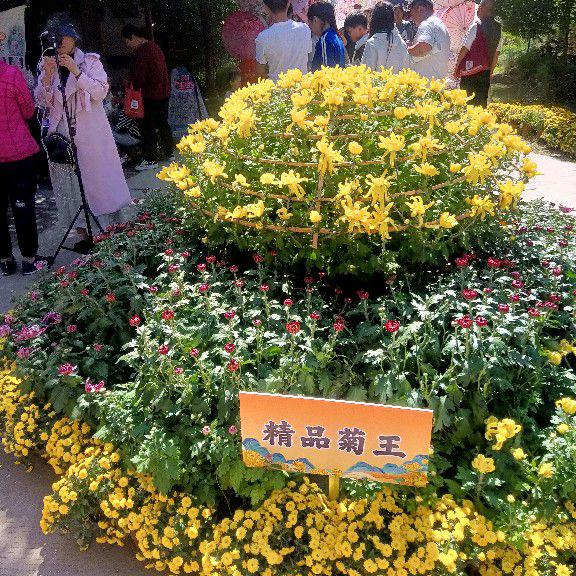 思无心