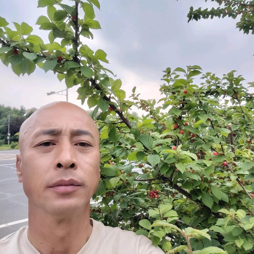 光头哥的幸福生活