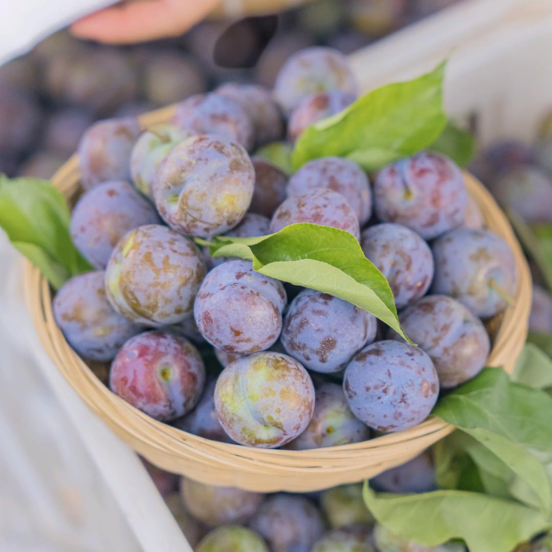 屏山助农甄选的头像