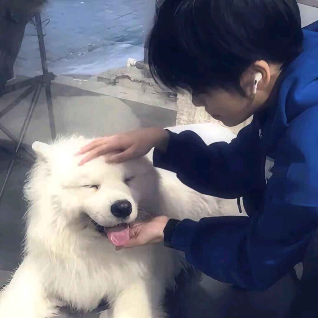 意