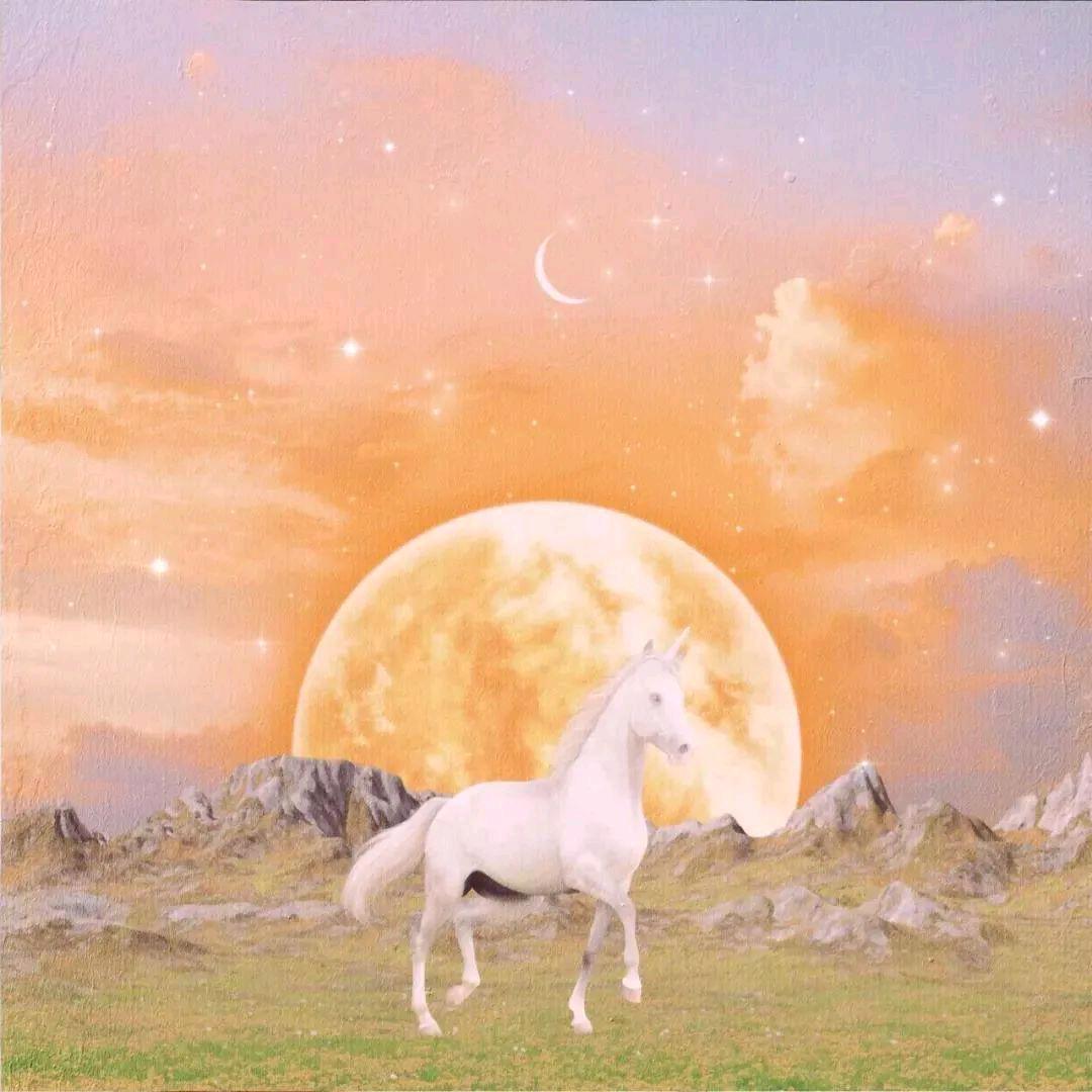 ༄༅幸运星⭐辰☀