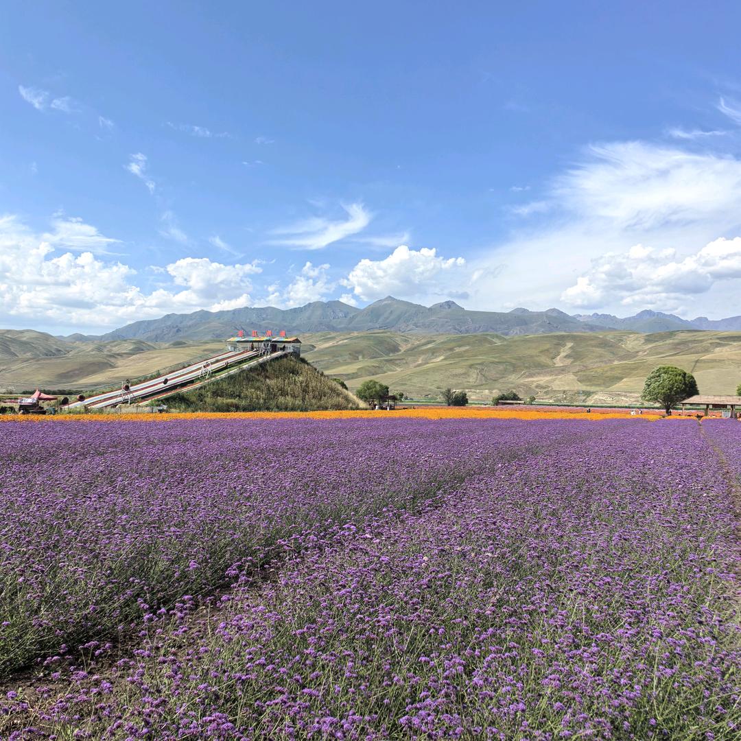 山歌响起的地方