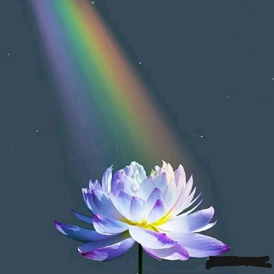 忠泽汽贸柴油面包批发