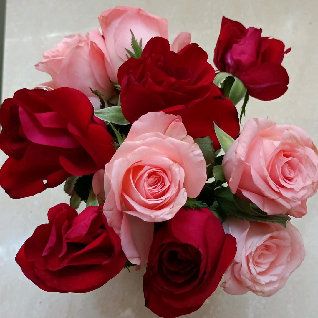 陶🍄醉🌷人🌸生🌹