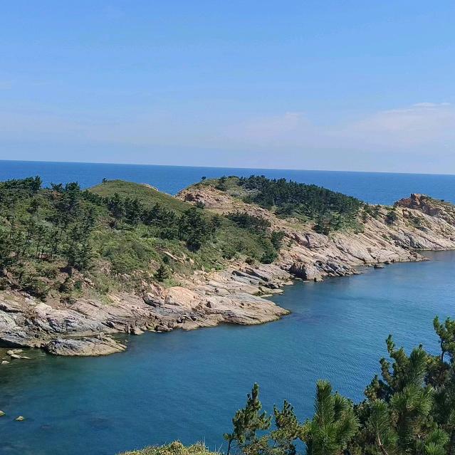 大海哥