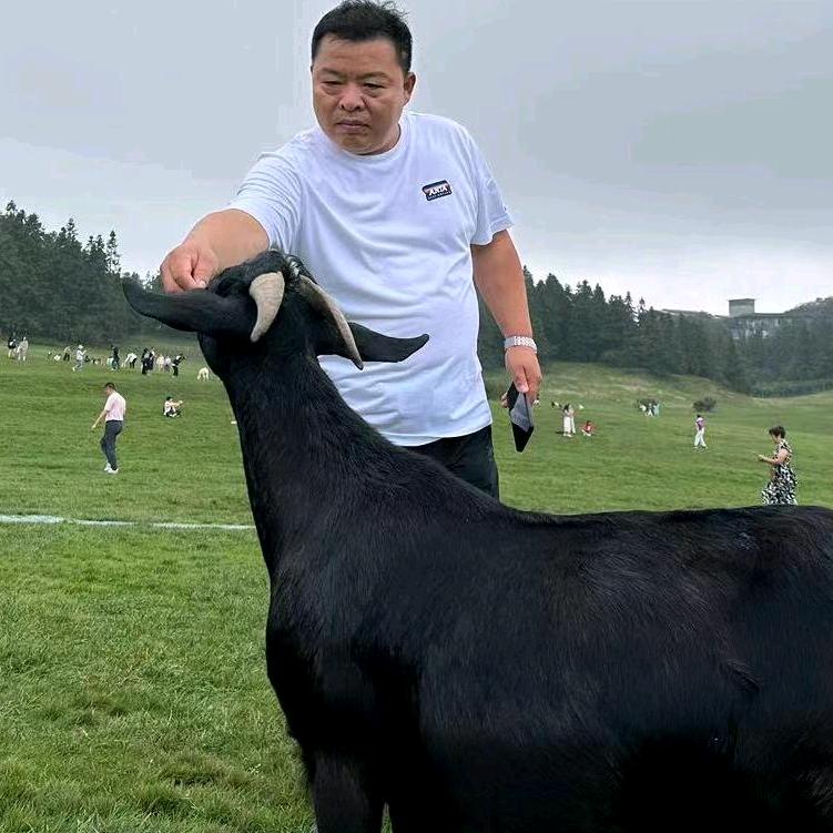 有你月更圆