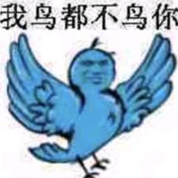 我鸟都不鸟你