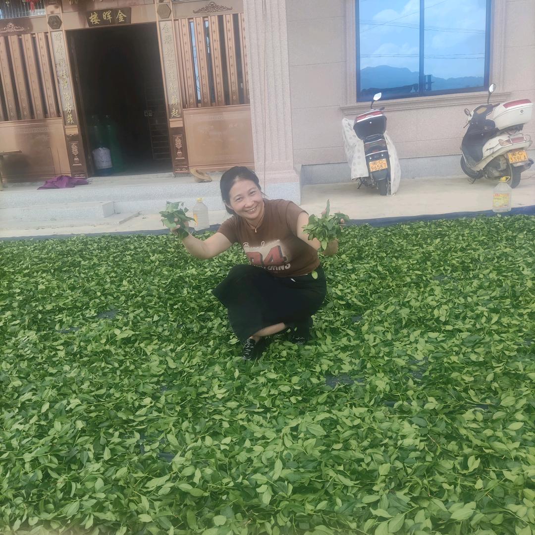 小玉儿