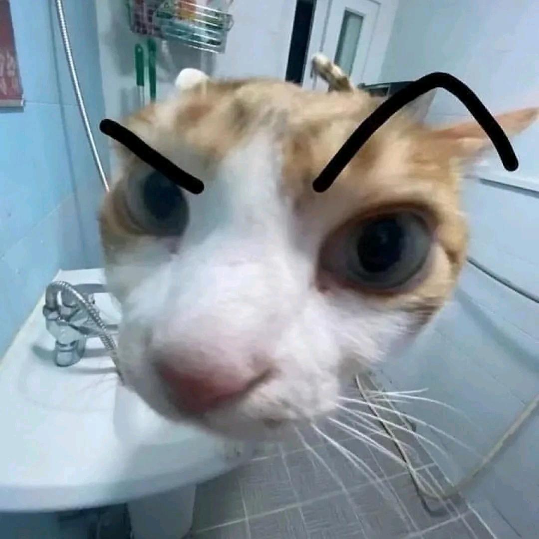 星期八见.