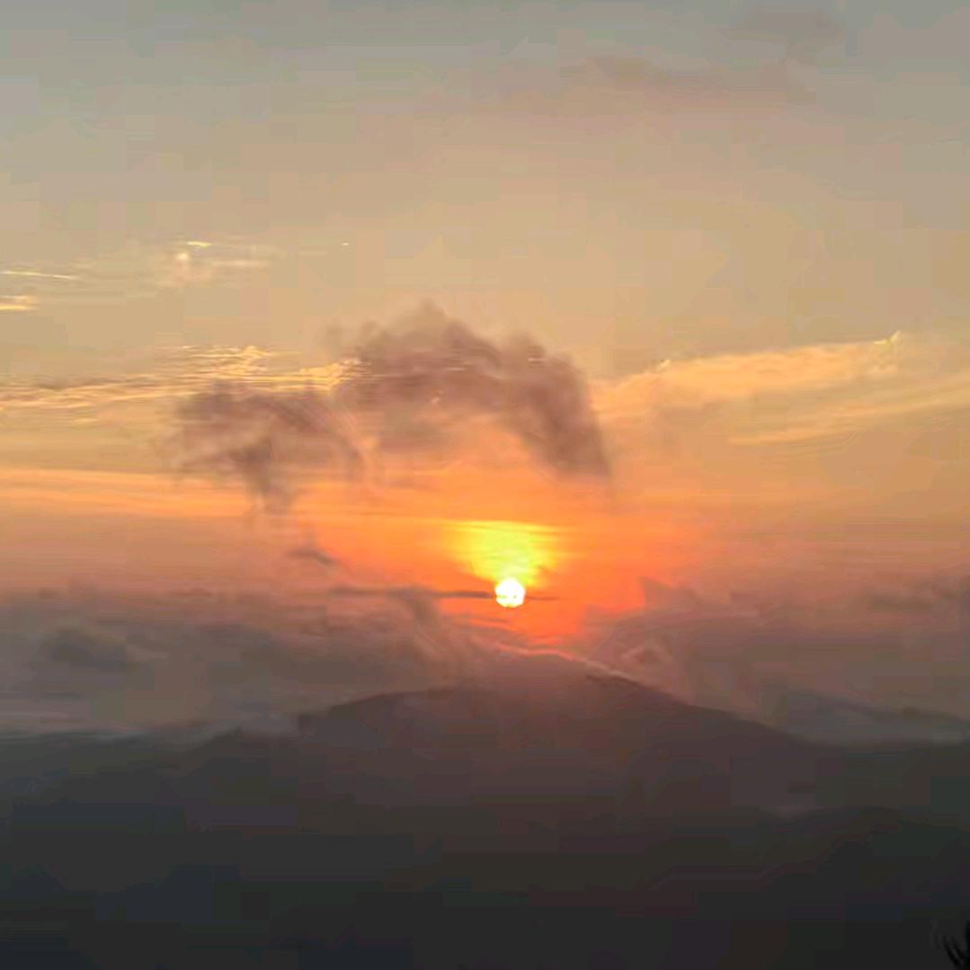 落花听雨