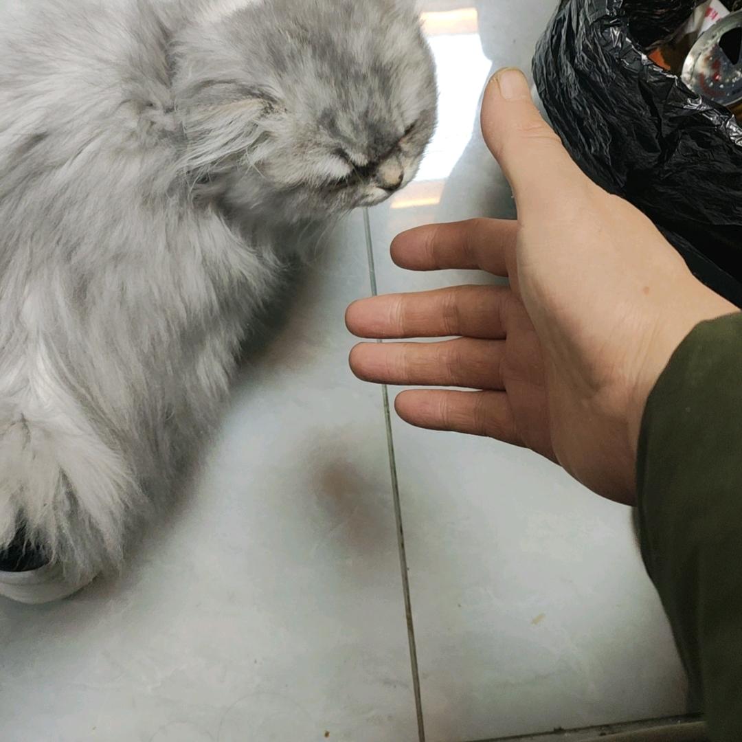 一觉醒来