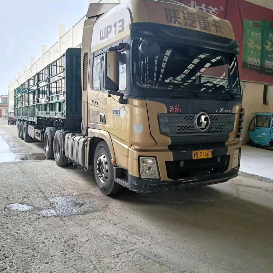 幸福大小宝