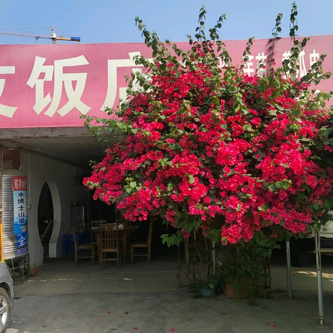 华