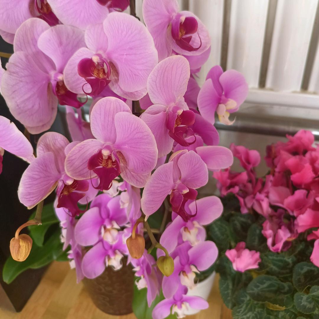 ❤真爱永恒❤💐💐💐💐💐