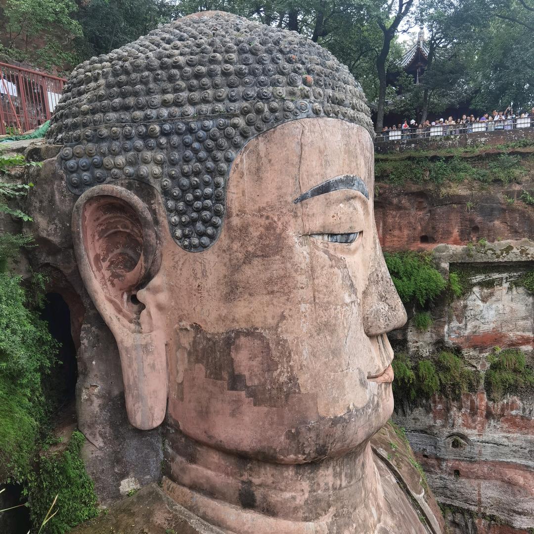 清心蝉鸣