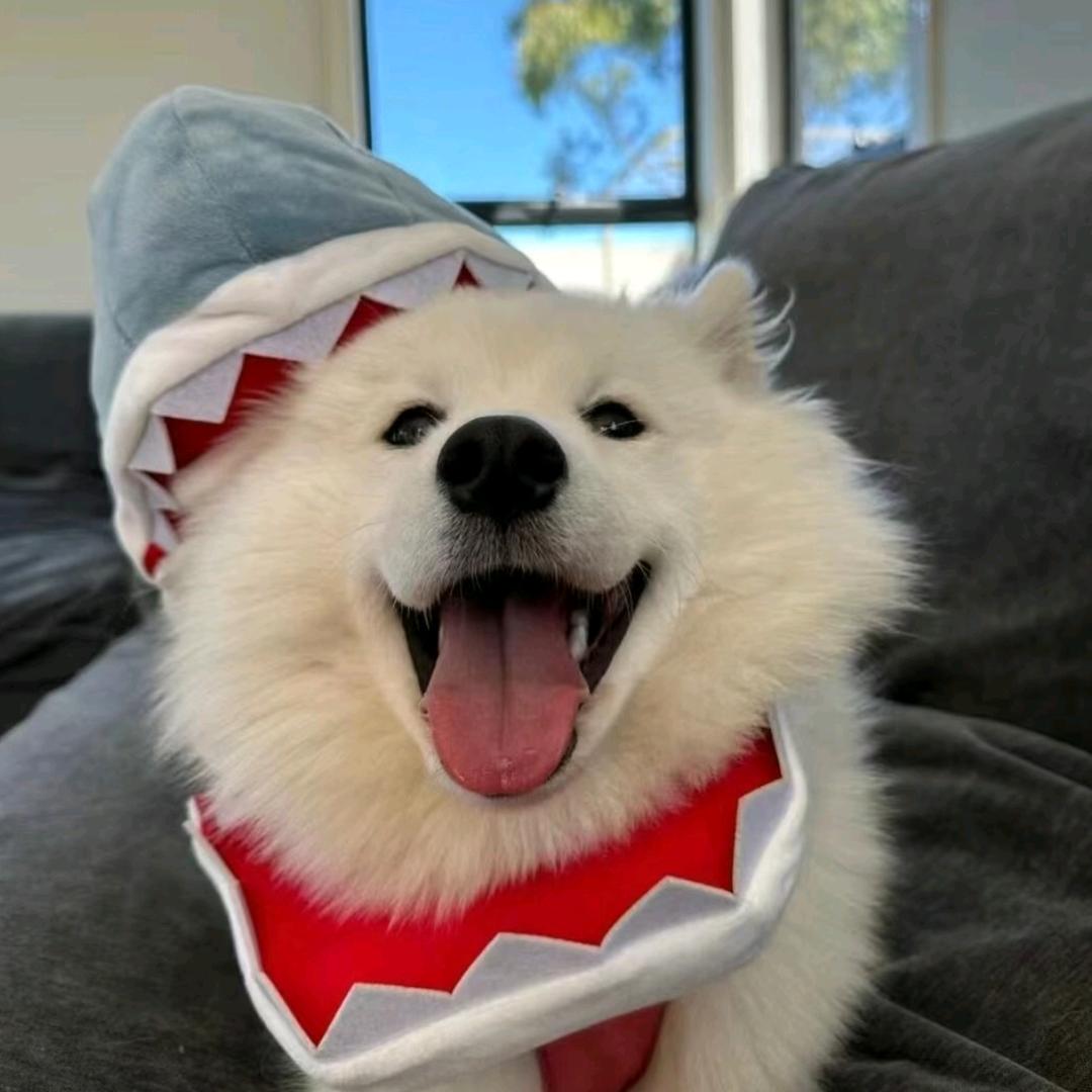 元元元元元元子