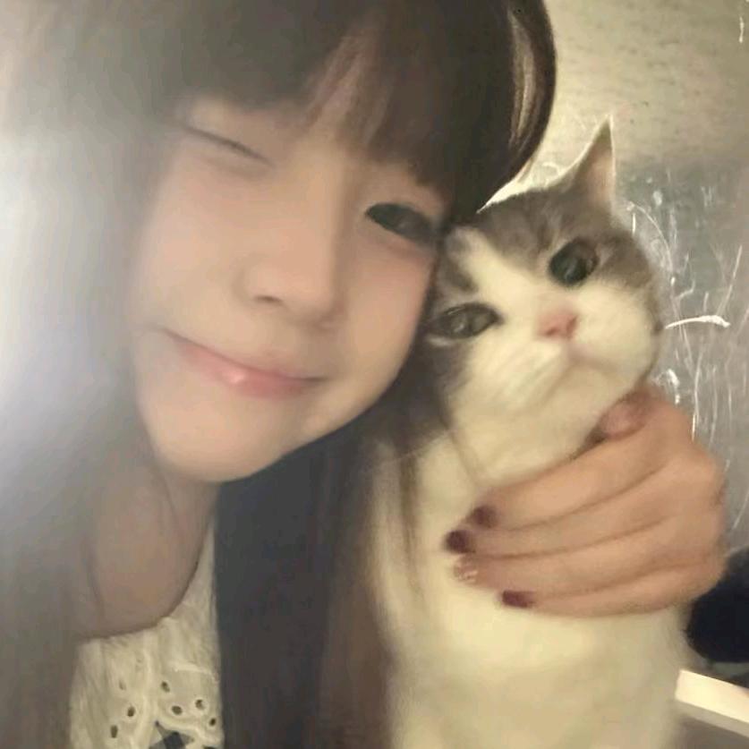 𝘼 -糕冷的ᵀᴬ
