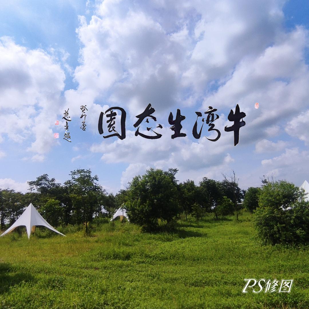 牛湾生态园