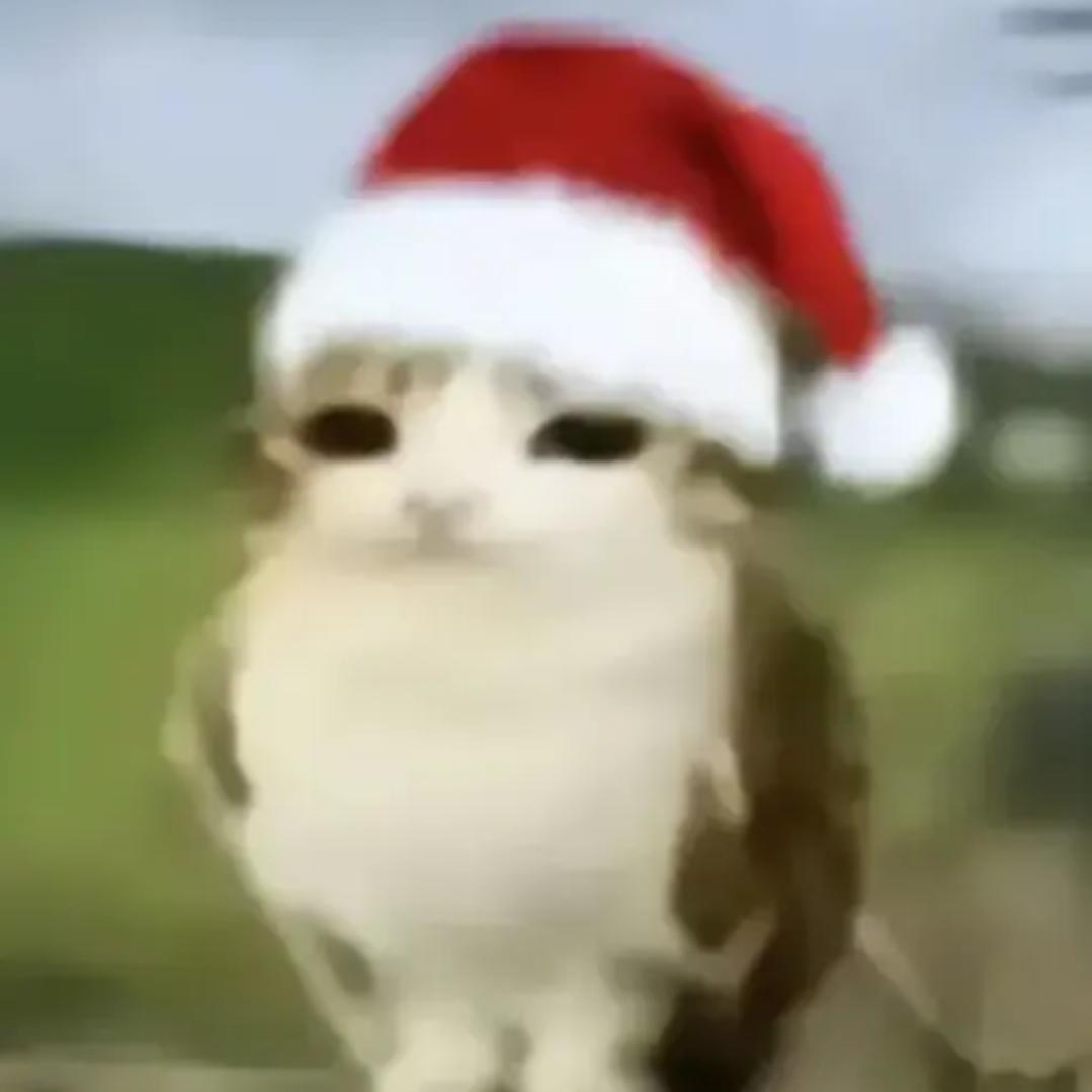 人体学不来🥺（我女神回关我了）