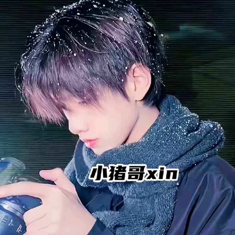 小猪哥xin
