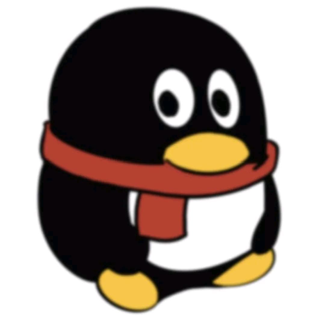 井队