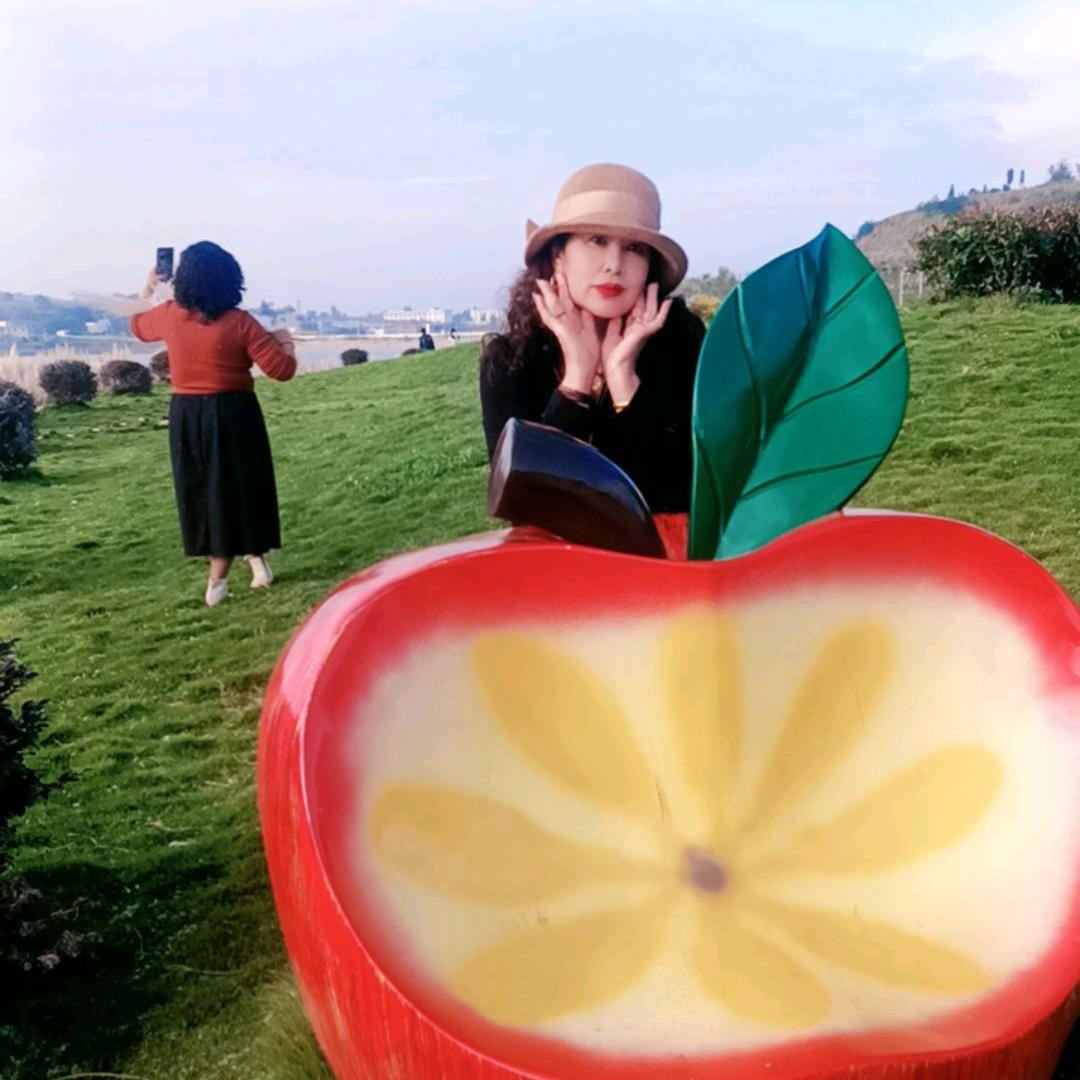 枫叶