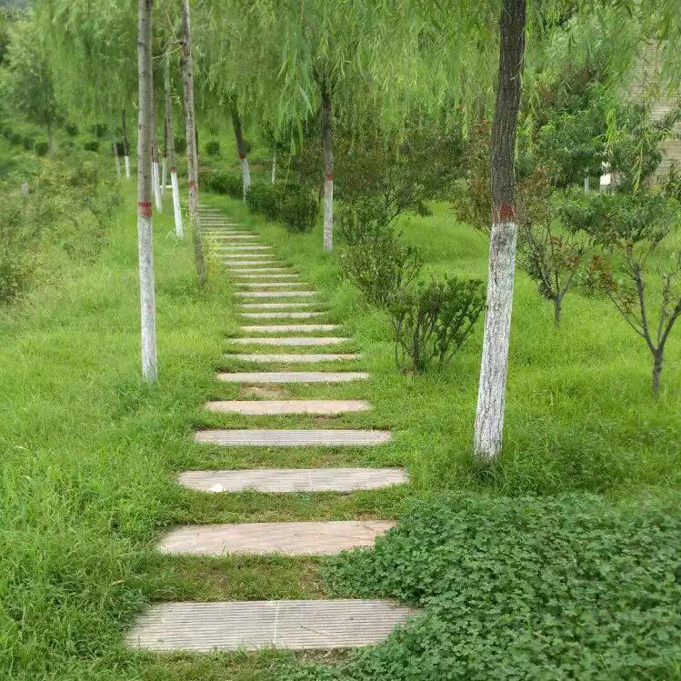 用户6523646806131小路