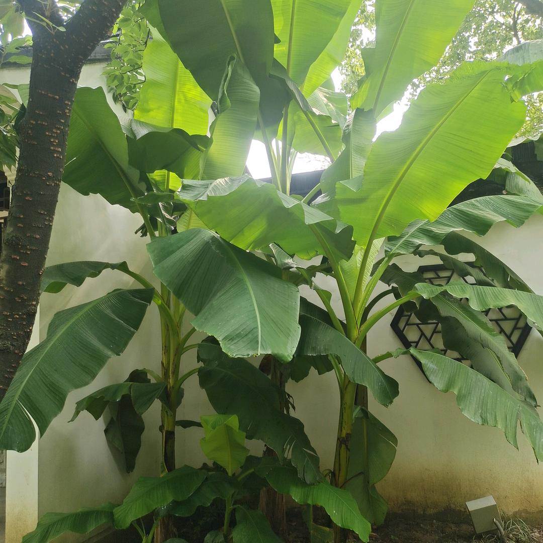 以后怎么开心就怎么过吧！