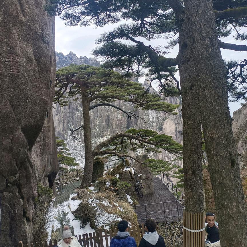 法哥
