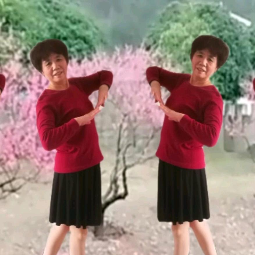 贾英英