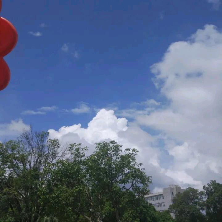 雨哥