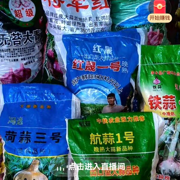 陶家丹丹大蒜市场