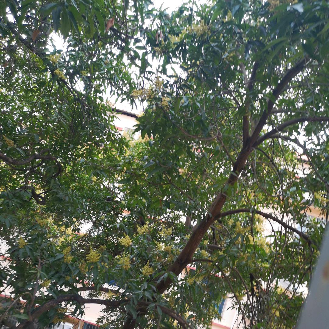 积极向上