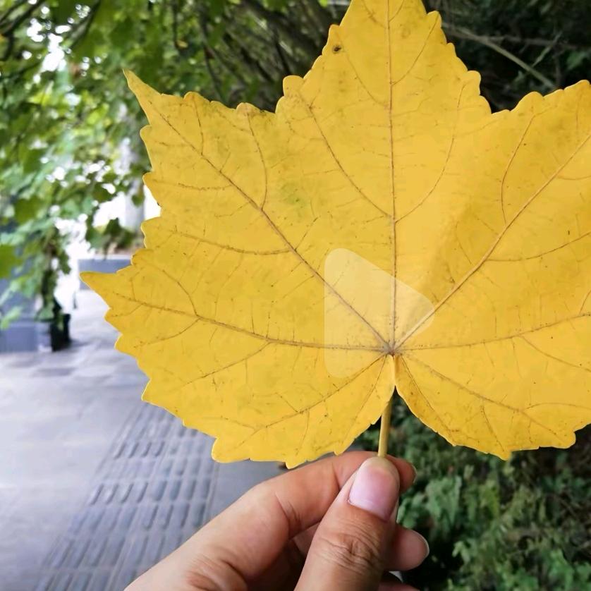 一后