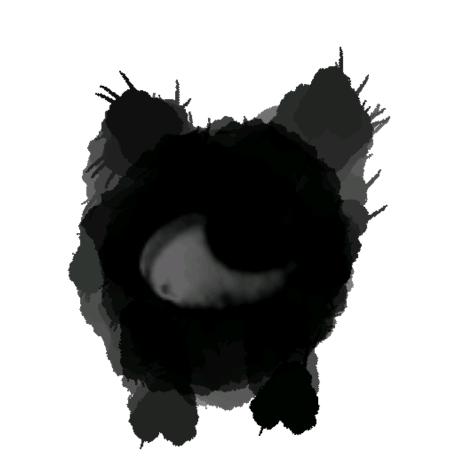 眼球