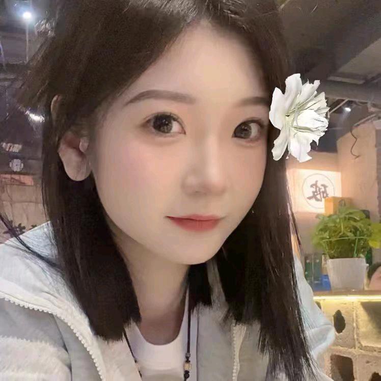 叮叮崽
