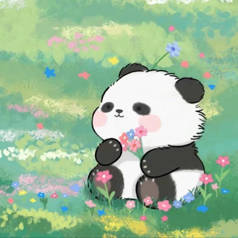 用户名85497728头像