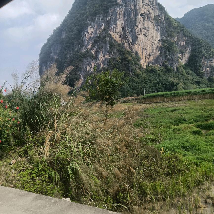 一路向北